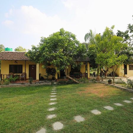 Bardia Eco Friendly Homestay Bardiya Εξωτερικό φωτογραφία
