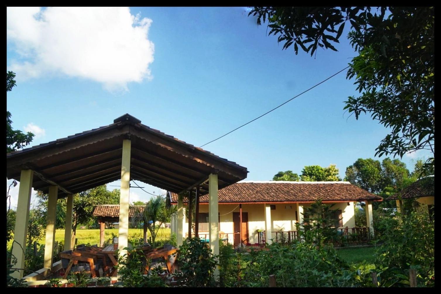 Bardia Eco Friendly Homestay Bardiya Εξωτερικό φωτογραφία
