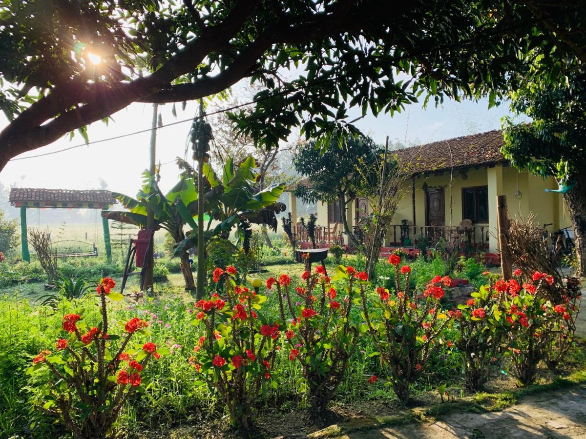 Bardia Eco Friendly Homestay Bardiya Εξωτερικό φωτογραφία